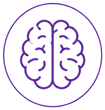 regulation icon
